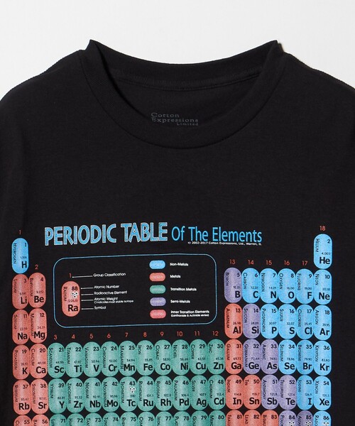 Cotton Expressions（コットンエクスプレッション） tシャツ 「COTTON