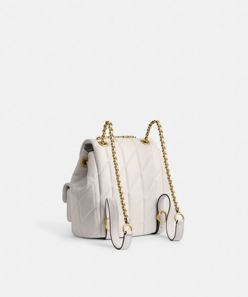 Coach ストライプデザイン リュック org.jpg