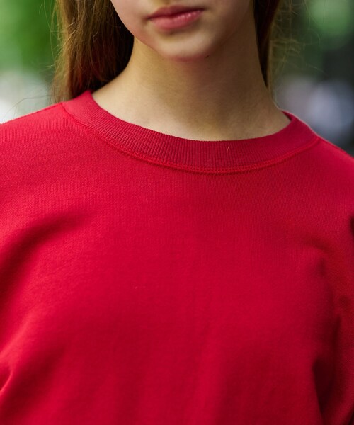 DRESSTERIOR（ドレステリア） トレーナー スウェット コットン裏毛プル