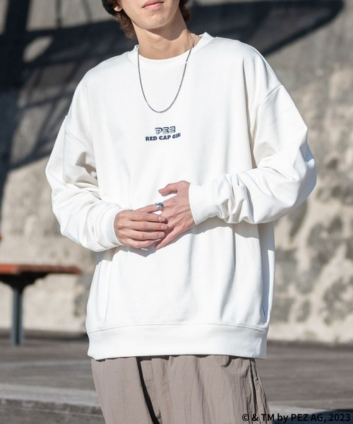 楽天市場】Champion チャンピオン トレーナー メンズ 大きい