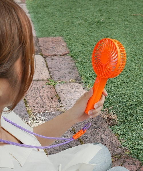 〖希少品〗 AIR 扇子 貴重 開封品 新品未使用藤井聡太 第72期王座就位記念扇子 「不易流行