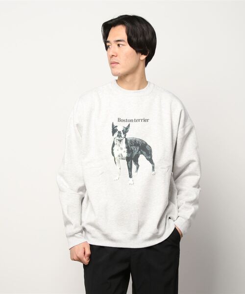 beauty&youth スウェット　未使用 info. BEAUTY＆YOUTH 「info. BEAUTY&YOUTH」 スウェット