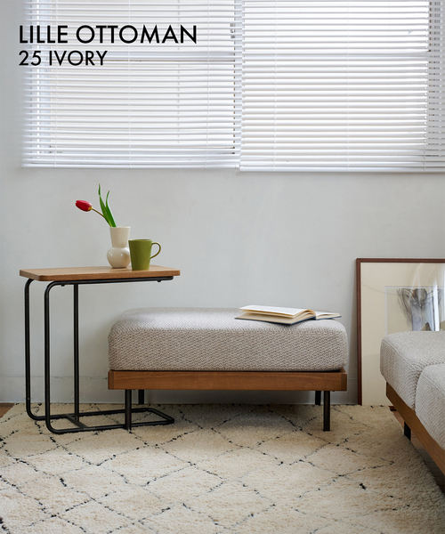 journal standard Furniture（ジャーナル スタンダード ファニチャー