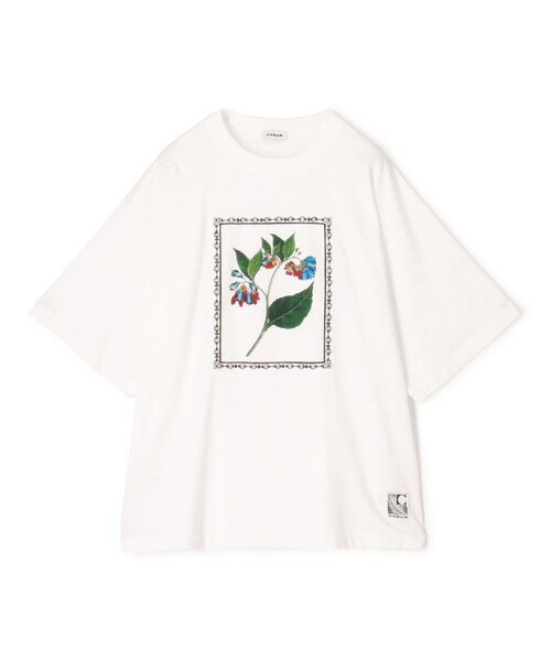 美品！CABaNキャバン アートTシャツ スビンコットン 白 ボタニカル フリー CABaN（キャバン） tシャツ スビンコットン FLOWER Tシャツ メンズ
