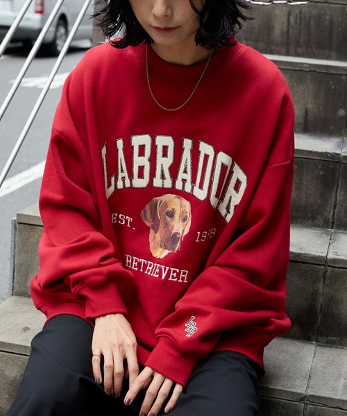 Labrador Retriever（ラブラドールリトリーバー） トレーナー