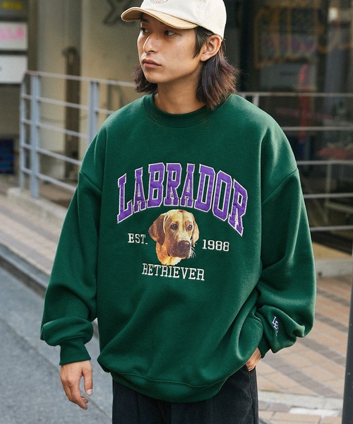 Labrador Retriever（ラブラドールリトリーバー） トレーナー
