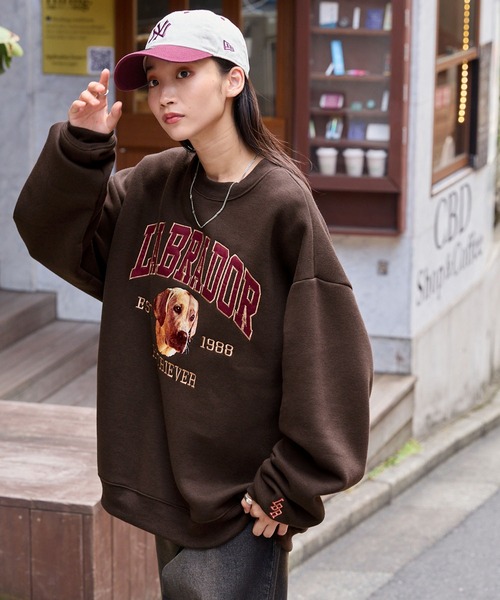 Labrador Retriever（ラブラドールリトリーバー） トレーナー