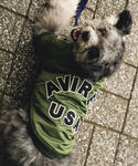 犬 服 「DOG WEAR/ドッグ ウェア」M...の詳細画像1