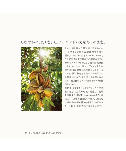 L'OCCITANE（ロクシタン） ボディクリーム アマンドスブリーム ミルク