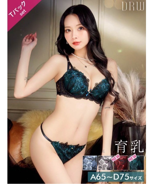 ブラジャー ショーツセット ダスティ ブルーム エンブロイダリー 育乳 