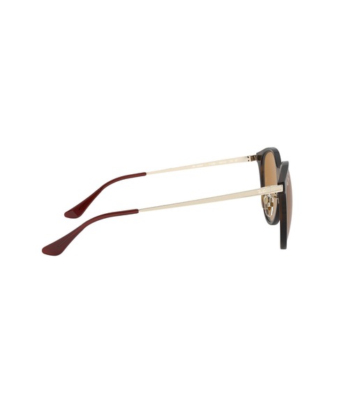 Ray-Ban サングラス レイバン Dmodels 0RB4334D (偏光レンズ