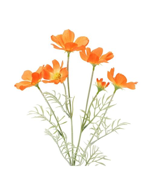 Francfranc インテリア アートフラワー コスモス オレンジ : ZOZOTOWN