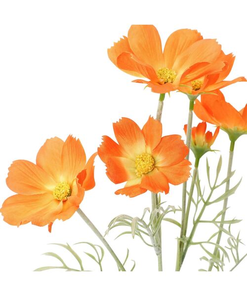 花束を手に 672eadf37a8a434ab27cd47507c555