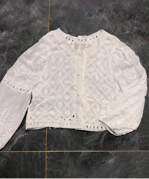 ブラウス シャツ 刺繍デザインパフスリーブトップス レディース
