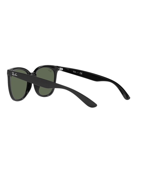 Ray-Ban レイバン サングラス RB4379D(アジア限定モデル) Ray-Ban サングラス レイバン Dmodels 0RB4379D (アジア限定