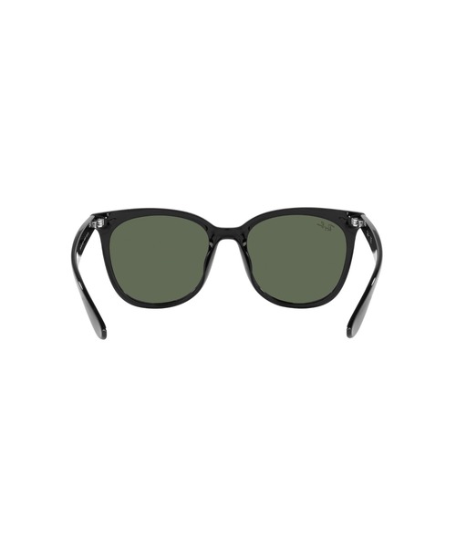Ray-Ban サングラス レイバン Dmodels 0RB4379D (アジアン