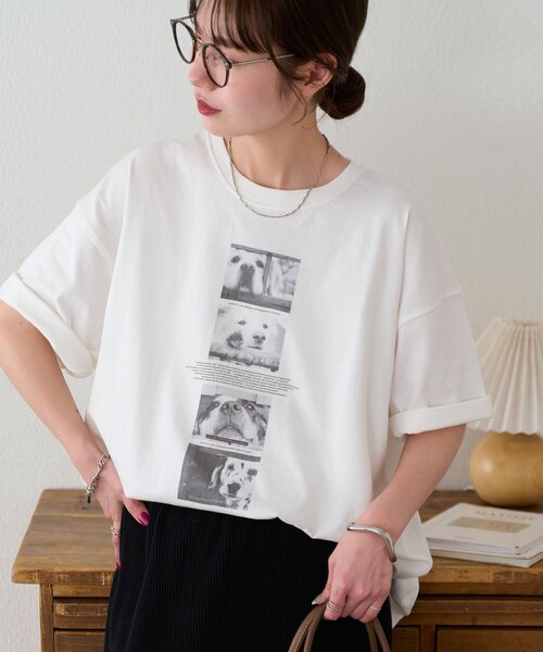Discoat（ディスコート） tシャツ 半袖 「Enlude」アソートボックス