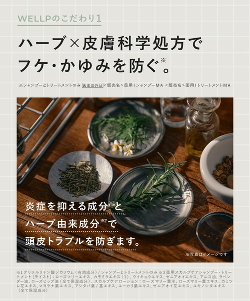 BOTANIST（ボタニスト） シャンプー WELLP ウェルプ 3点セット 薬用
