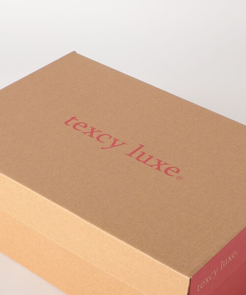ビジネスシューズ ビジネスシューズ 「texcy luxe」ダブルモンク GORE-TEX ドレスシューズ メンズの画像