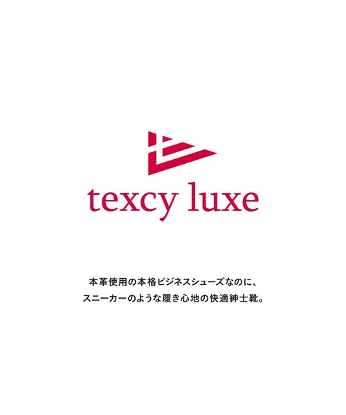 ビジネスシューズ ビジネスシューズ 「texcy luxe」ダブルモンク GORE-TEX ドレスシューズ メンズの画像
