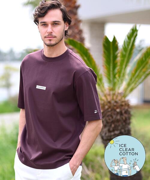 tシャツ 「接触冷感／抗菌防臭／消臭」ICE CLEAR COTTON NINEストリートTシャツ メンズ