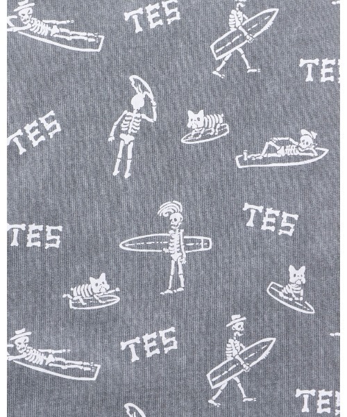 The Endless Summer（エンドレスサマー） tシャツ TES ENDLESS SURFIN