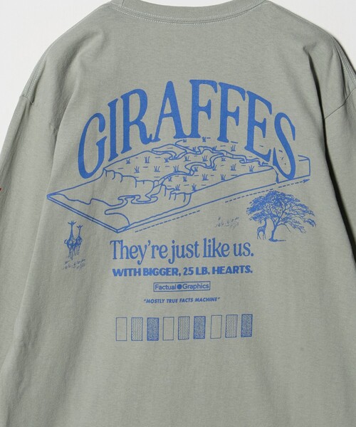 FACT グラフィックTシャツ L STEVEN ALAN（スティーブンアラン） tシャツ 「Factual Graphics