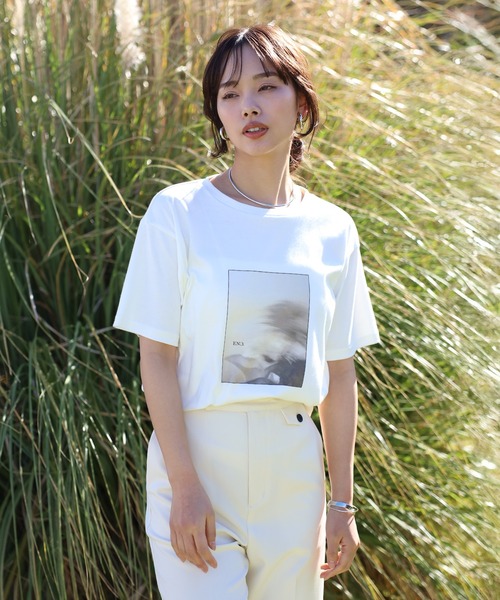 tシャツ 「made in Japan」「cotton silk」flower photo print ENC T-shirt / 「日本製」「コット ENC tシャツ 「made in Japan」「cotton silk」flower photo