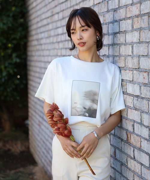 tシャツ 「made in Japan」「cotton silk」flower photo print ENC T-shirt / 「日本製」「コット ENC tシャツ 「made in Japan」「cotton silk」flower photo