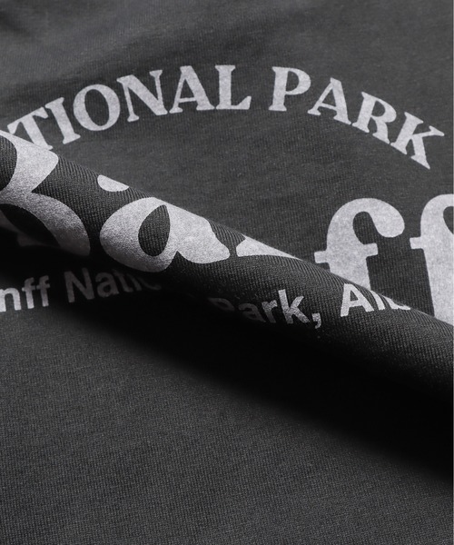 TICCA（ティッカ） tシャツ Tシャツ Banff スクエアTシャツ : ZOZOTOWN