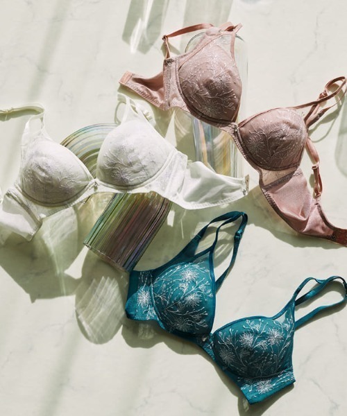 ブラへアアルマータ ブルーヤシ ブラヘア・アルマータ | kurk PLANT