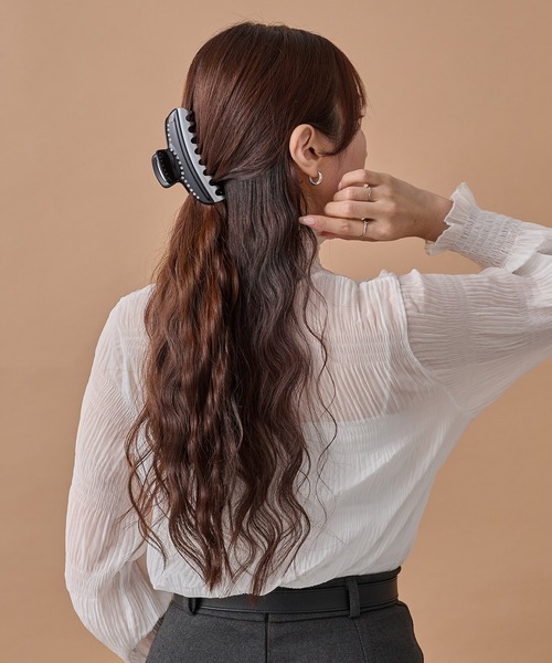 ALEXANDRE DE PARIS ヘアクリップ 2点セット ALEXANDRE DE PARIS（アレクサンドル ドゥ パリ） ヘアクリップ