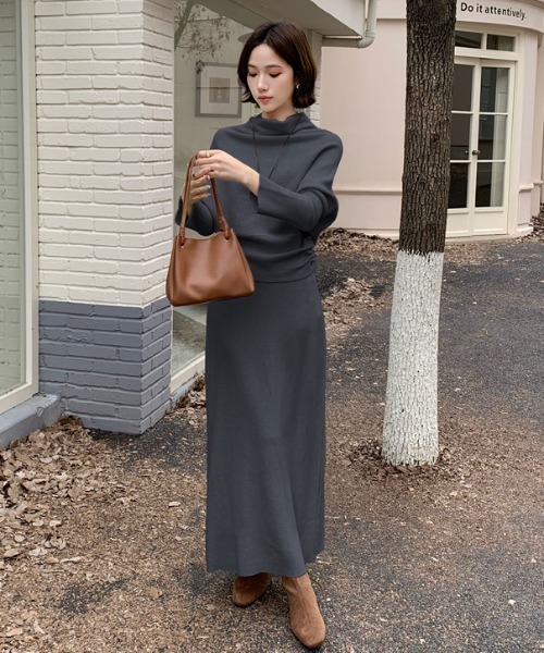 Aelina セットアップ シンプルトップスハイウエストロングスカート