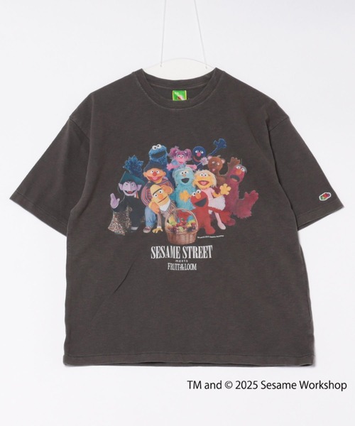 【FRUIT OF THE LOOM】SESAME STREET×FTL Photo T-Shirt D/全3色 FRUIT OF THE LOOM tシャツ SESAME STREET×FTL Photo T-Shirt D