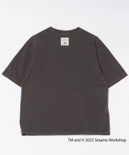 FRUIT OF THE LOOM tシャツ SESAME STREET×FTL Photo T-Shirt D