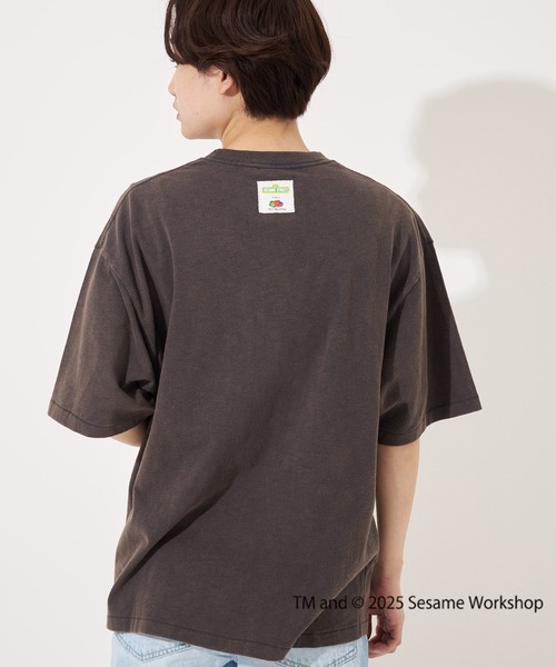 【FRUIT OF THE LOOM】SESAME STREET×FTL Photo T-Shirt D/全3色 FRUIT OF THE LOOM tシャツ 「FRUIT LOOM/フルーツ オブ ザ