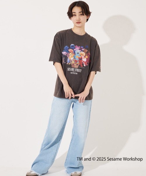 【FRUIT OF THE LOOM】SESAME STREET×FTL Photo T-Shirt D/全3色 FRUIT OF THE LOOM tシャツ SESAME STREET×FTL Photo T-Shirt D