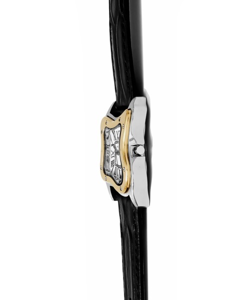 腕時計 LAURENT WATCH SMALL TWO-TON メンズ レディースの画像