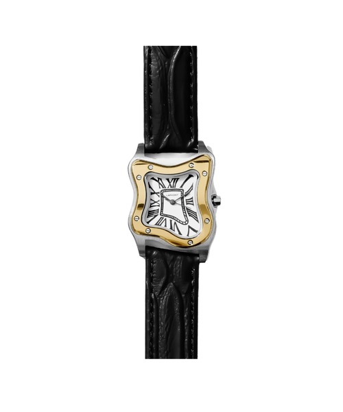 腕時計 LAURENT WATCH SMALL TWO-TON メンズ レディースの画像