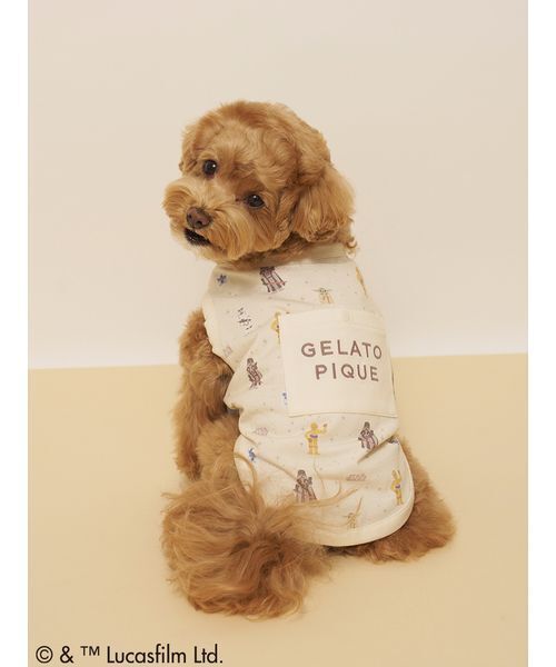 RALPH LAUREN HOME（ラルフ ローレン ホーム） 犬 服 Polo ベア ウール