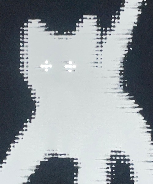 「aeae」 半袖Tシャツ FREE ホワイト レディース_画像8