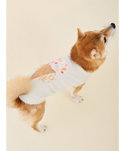 A BATHING APE（アベイシングエイプ） 犬 ハーネス リード ABC CAMO