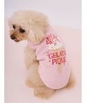 犬 ハーネス リード 「CAT&DOG」アイス...の詳細画像1