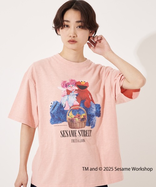 FRUIT OF THE LOOM tシャツ SESAME STREET×FTL Photo T-Shirt B