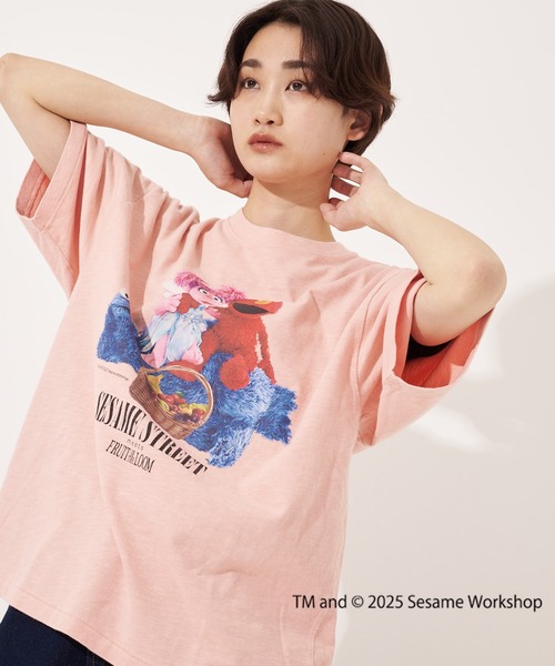 【FRUIT OF THE LOOM】SESAME STREET×FTL Photo T-Shirt B/全3色 FRUIT OF THE LOOM tシャツ SESAME STREET×FTL Photo T-Shirt B