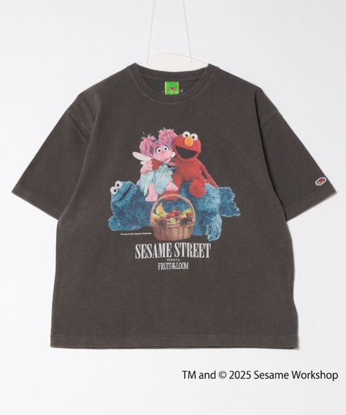 【FRUIT OF THE LOOM】SESAME STREET×FTL Photo T-Shirt A/全3色 FRUIT OF THE LOOM tシャツ SESAME STREET×FTL Photo T-Shirt B