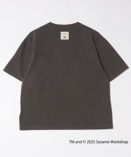 【FRUIT OF THE LOOM】SESAME STREET×FTL Photo T-Shirt A/全3色 FRUIT OF THE LOOM 【FRUIT LOOM】SESAME STREET×FTL Photo T