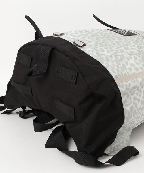 GREGORY デイバック リュック デイパック DAY PACK スノー