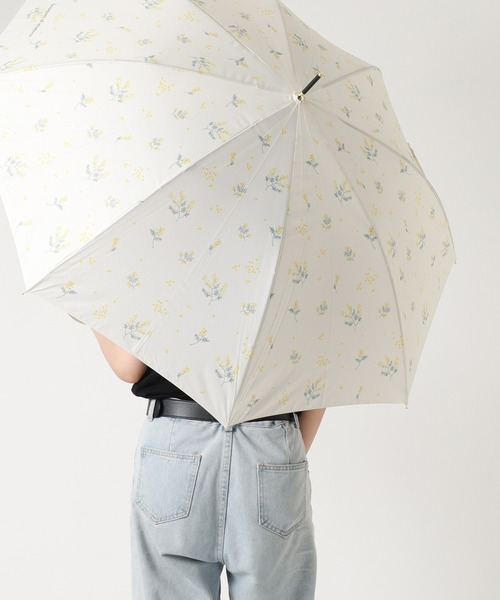 長いフレッシュミモザ50cm 長いフレッシュミモザ50cm 長いフレッシュミモザ50cm ミモザを飾ろう
