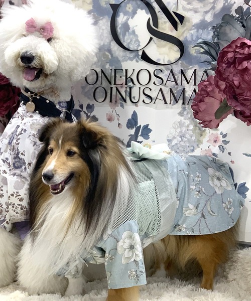 犬服ハンドメイド♡あーにゃ♡浴衣♡浴衣♡ミモザと小鳥さんワンピース 犬服ハンドメイド♡あーにゃ様専用♡浴衣♡浴衣♡ミモザと小鳥